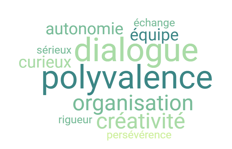 Mon parcours nuage de mots